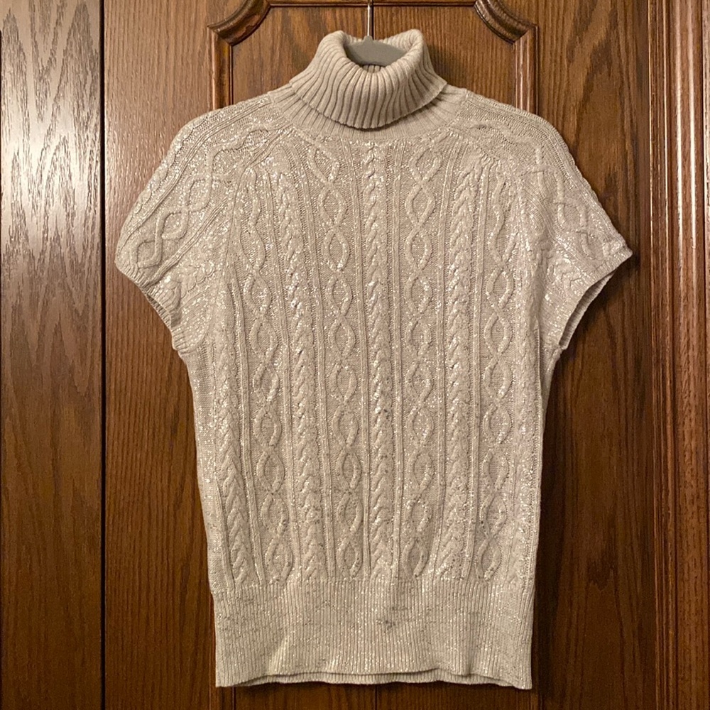 Silver shimmer GAP turtleneck. Women’s size L